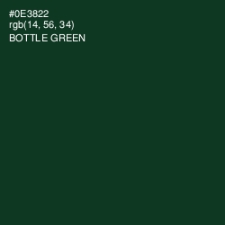 #0E3822 - Bottle Green Color Image