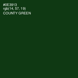 #0E3913 - County Green Color Image