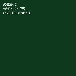 #0E391C - County Green Color Image