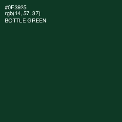 #0E3925 - Bottle Green Color Image