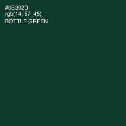 #0E392D - Bottle Green Color Image