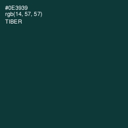 #0E3939 - Tiber Color Image