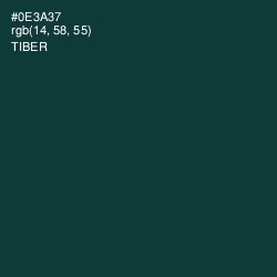 #0E3A37 - Tiber Color Image