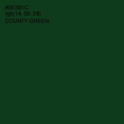 #0E3B1C - County Green Color Image