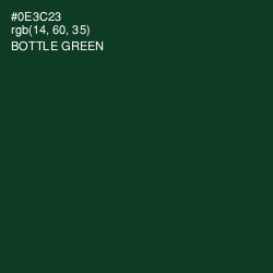 #0E3C23 - Bottle Green Color Image