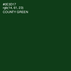 #0E3D17 - County Green Color Image