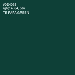 #0E4038 - Te Papa Green Color Image