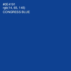 #0E4191 - Congress Blue Color Image