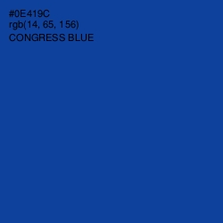 #0E419C - Congress Blue Color Image