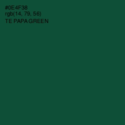 #0E4F38 - Te Papa Green Color Image