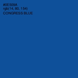 #0E509A - Congress Blue Color Image