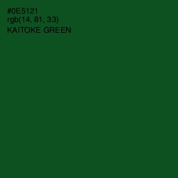 #0E5121 - Kaitoke Green Color Image