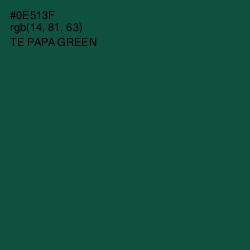 #0E513F - Te Papa Green Color Image