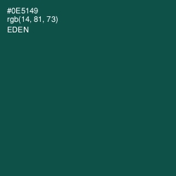 #0E5149 - Eden Color Image