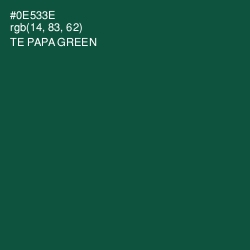 #0E533E - Te Papa Green Color Image