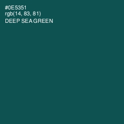 #0E5351 - Deep Sea Green Color Image