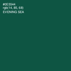 #0E5544 - Evening Sea Color Image