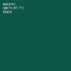 #0E5747 - Eden Color Image
