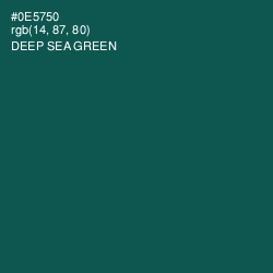 #0E5750 - Deep Sea Green Color Image