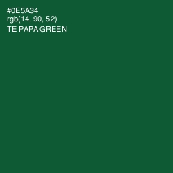 #0E5A34 - Te Papa Green Color Image
