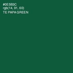 #0E5B3C - Te Papa Green Color Image