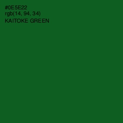 #0E5E22 - Kaitoke Green Color Image