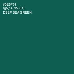 #0E5F51 - Deep Sea Green Color Image