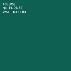 #0E6053 - Watercourse Color Image