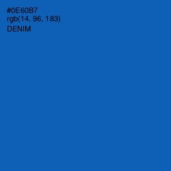 #0E60B7 - Denim Color Image