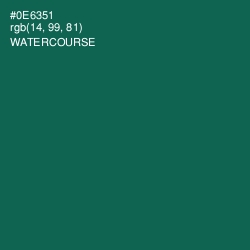 #0E6351 - Watercourse Color Image