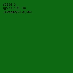 #0E6913 - Japanese Laurel Color Image