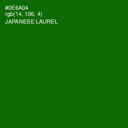 #0E6A04 - Japanese Laurel Color Image