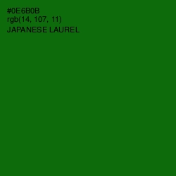 #0E6B0B - Japanese Laurel Color Image