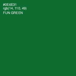 #0E6E31 - Fun Green Color Image