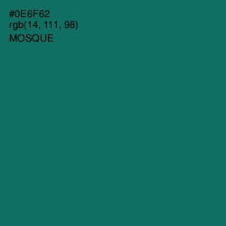 #0E6F62 - Mosque Color Image