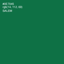 #0E7045 - Salem Color Image