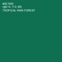 #0E7050 - Tropical Rain Forest Color Image