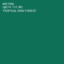 #0E7056 - Tropical Rain Forest Color Image