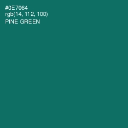 #0E7064 - Pine Green Color Image