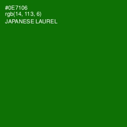 #0E7106 - Japanese Laurel Color Image