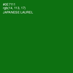 #0E7111 - Japanese Laurel Color Image