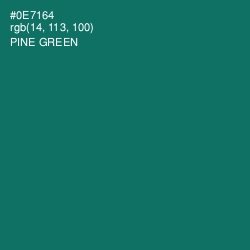 #0E7164 - Pine Green Color Image