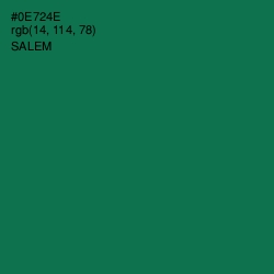 #0E724E - Salem Color Image