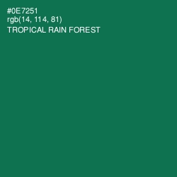 #0E7251 - Tropical Rain Forest Color Image