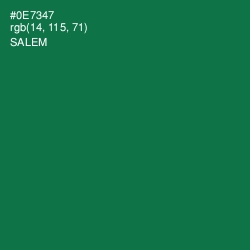 #0E7347 - Salem Color Image