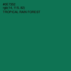 #0E7352 - Tropical Rain Forest Color Image