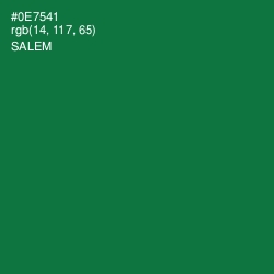 #0E7541 - Salem Color Image