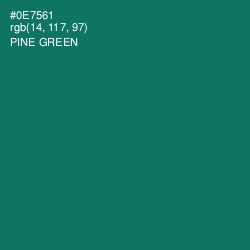 #0E7561 - Pine Green Color Image