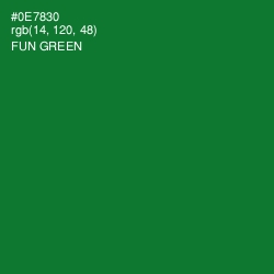 #0E7830 - Fun Green Color Image