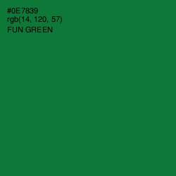 #0E7839 - Fun Green Color Image